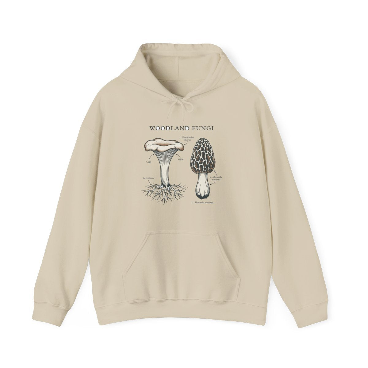 Forager's Guide To Woodland Fungi Hoodie — lifestyle photo