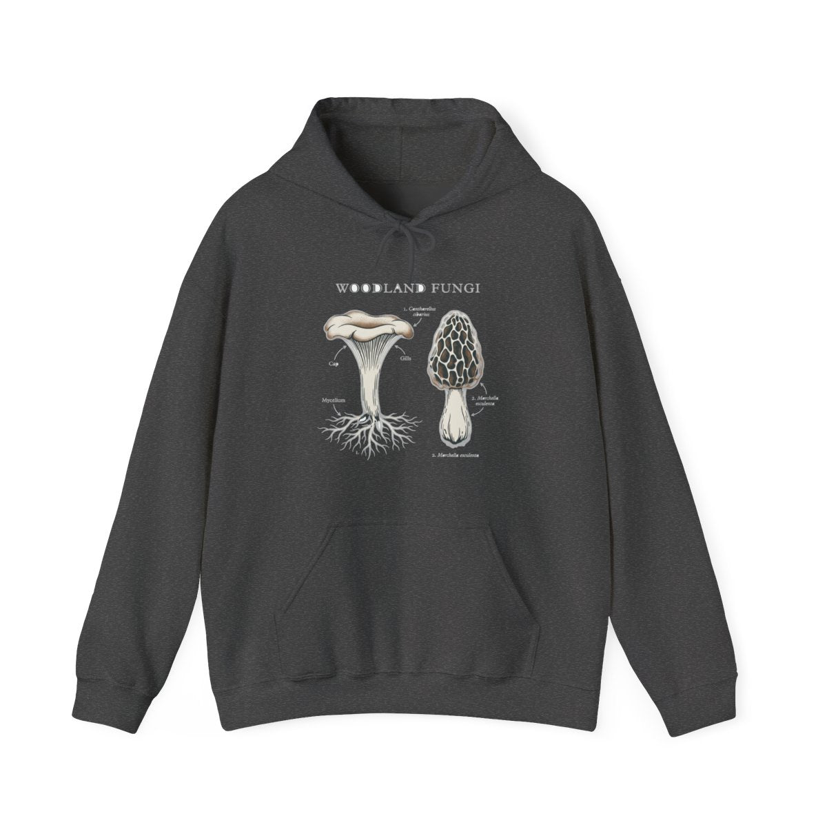 Forager's Guide To Woodland Fungi Hoodie — lifestyle photo